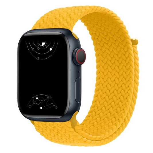 Caterva Elastic Braided Solo Loop Band