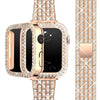 Deliciae Luxury Band + Case - Astra Straps