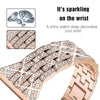 Deliciae Luxury Band + Case - Astra Straps